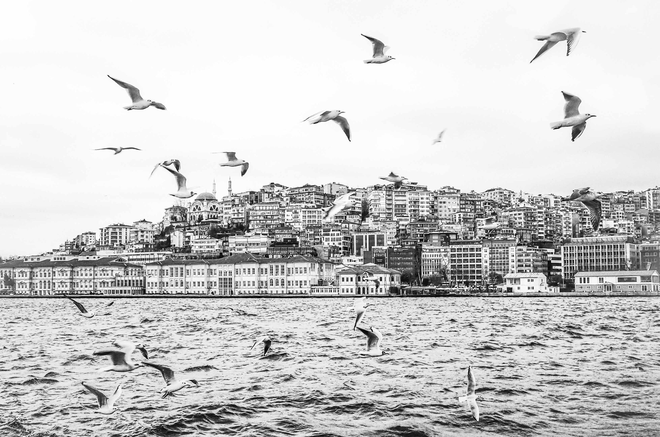 Bosporus in Winter